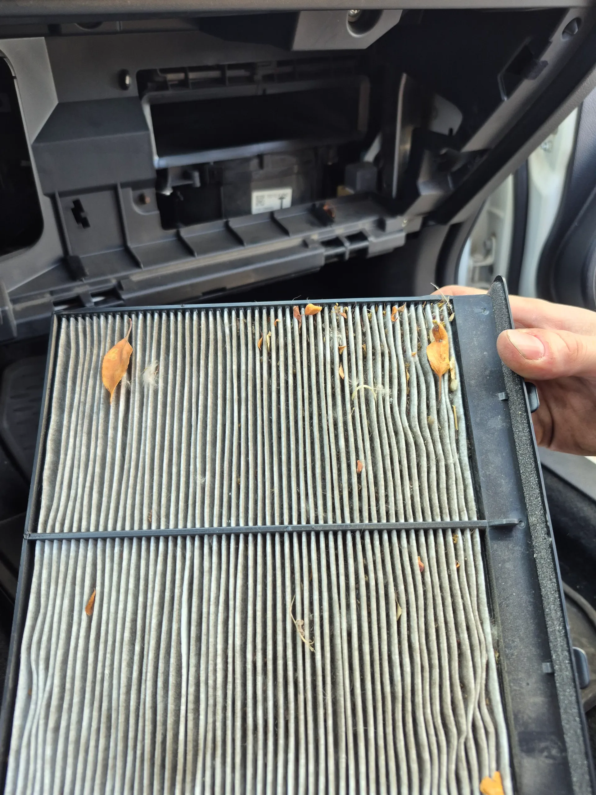 dirty cabin air filter replacement during auto hvac service